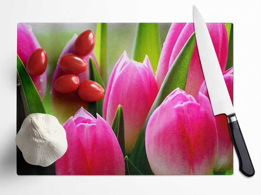 Pink Tulip Garden Surprise
