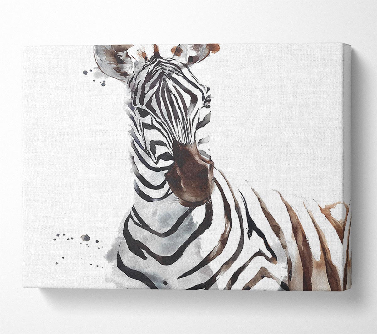 Zebta Splatter Canvas Art