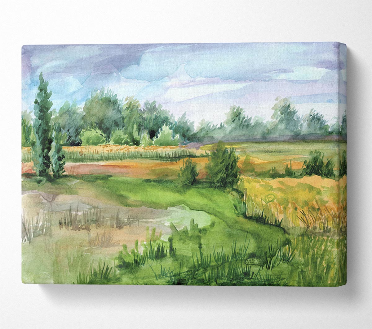 A Trip To The Countryside Canvas Art