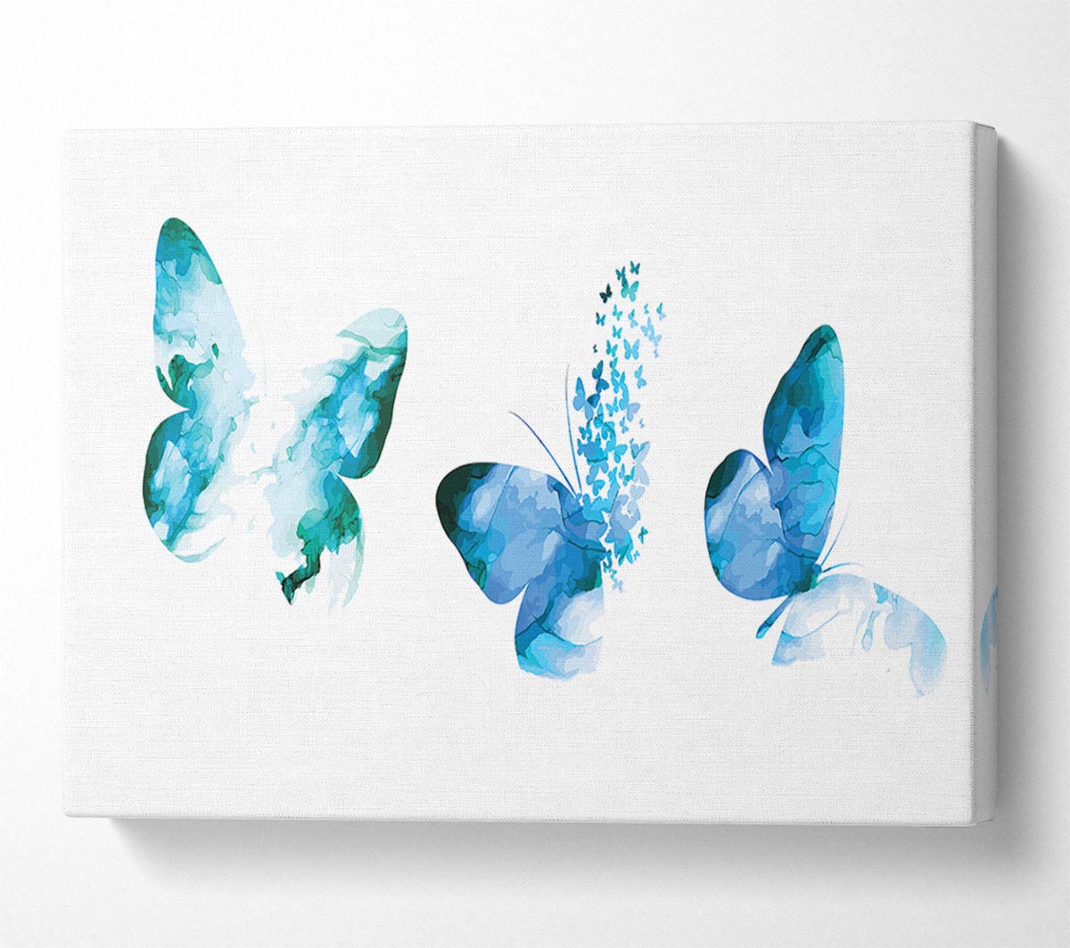 A Trio Of Blue Butterflies Canvas Print