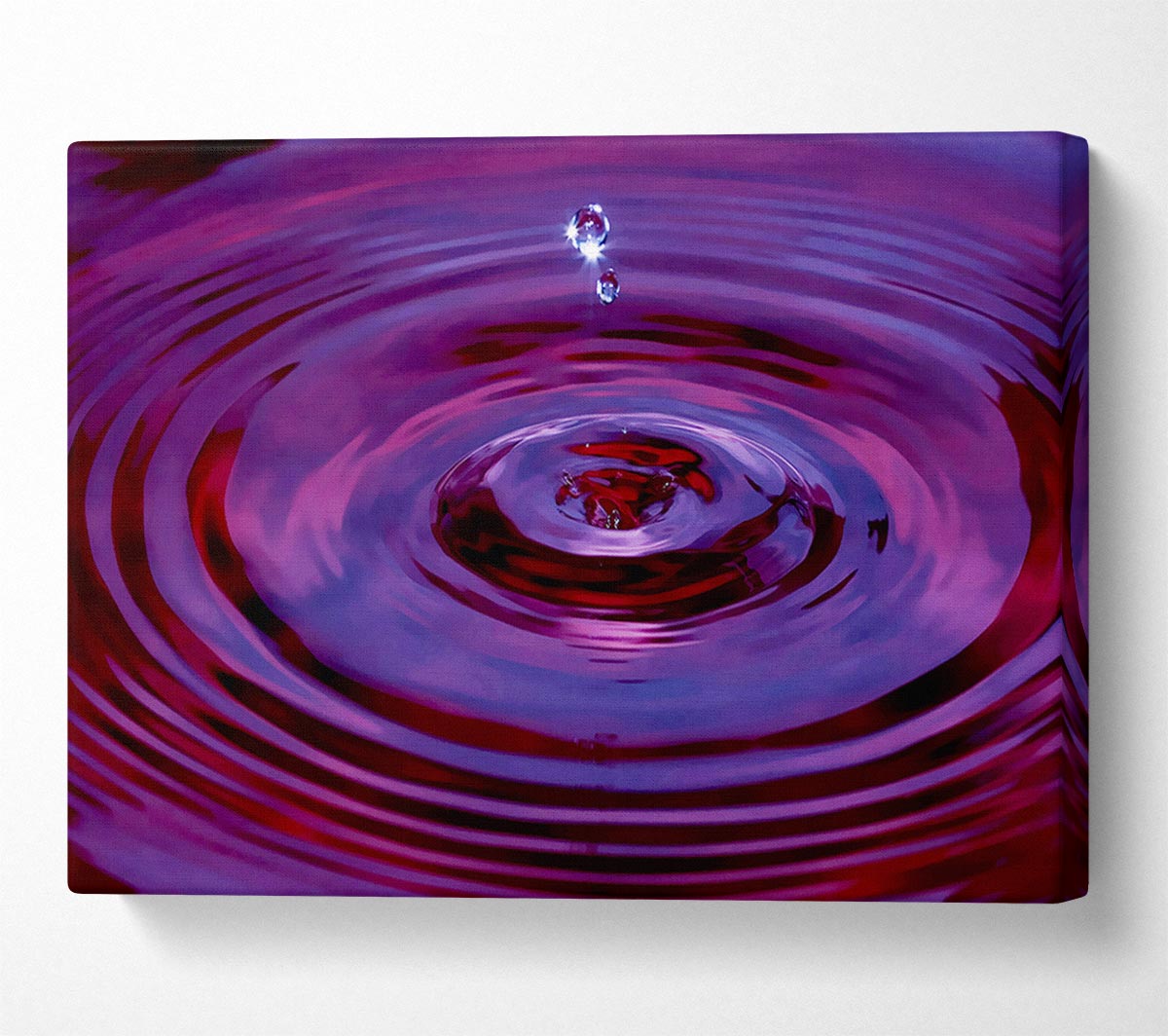 A Drop In The Ocean Canvas Wall Art