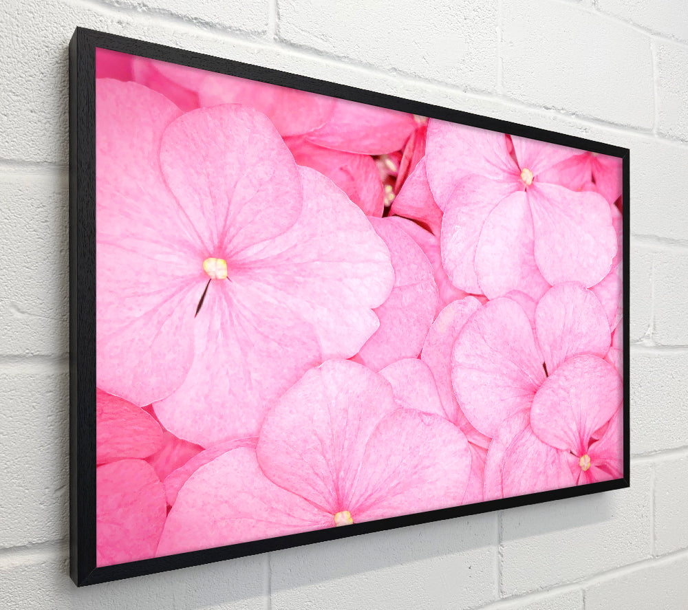 Bed Of Petals