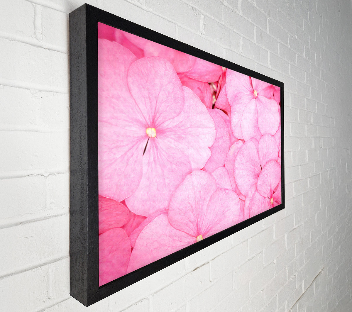 Bed Of Petals Canvas Wall Art
