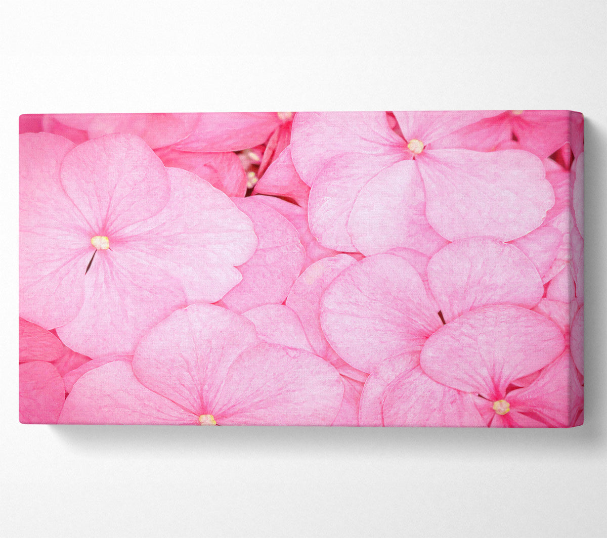 Bed Of Petals Canvas Wall Art