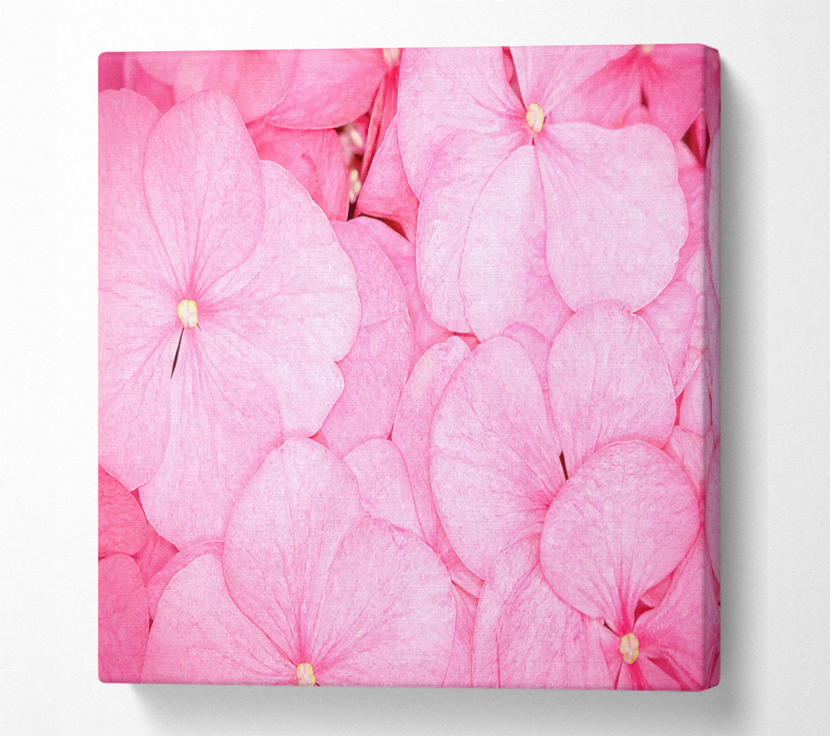 Bed Of Petals Canvas Wall Art