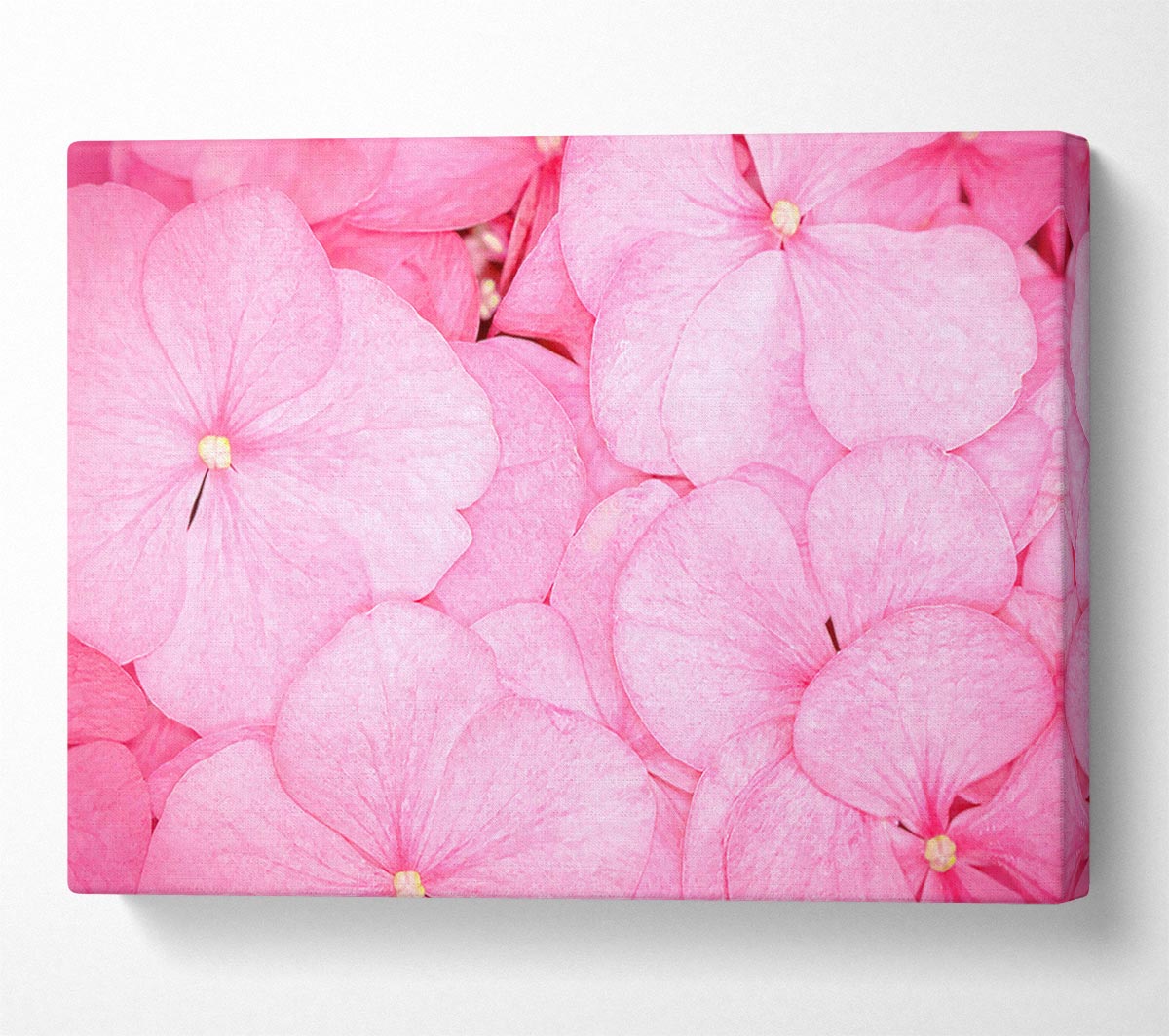 Bed Of Petals Canvas Wall Art