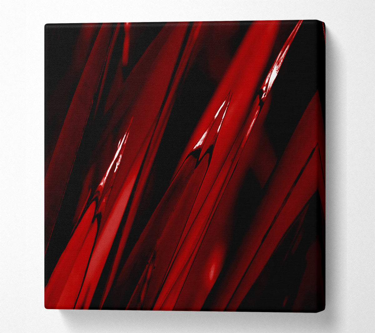 Red Broken Dream Canvas Wall Art