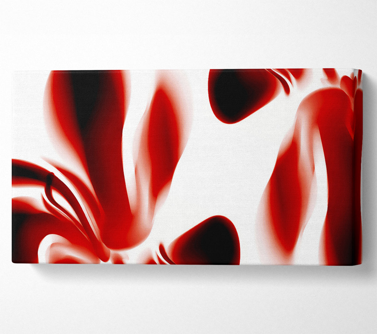 Red Raspberry Ripple Canvas Wall Art