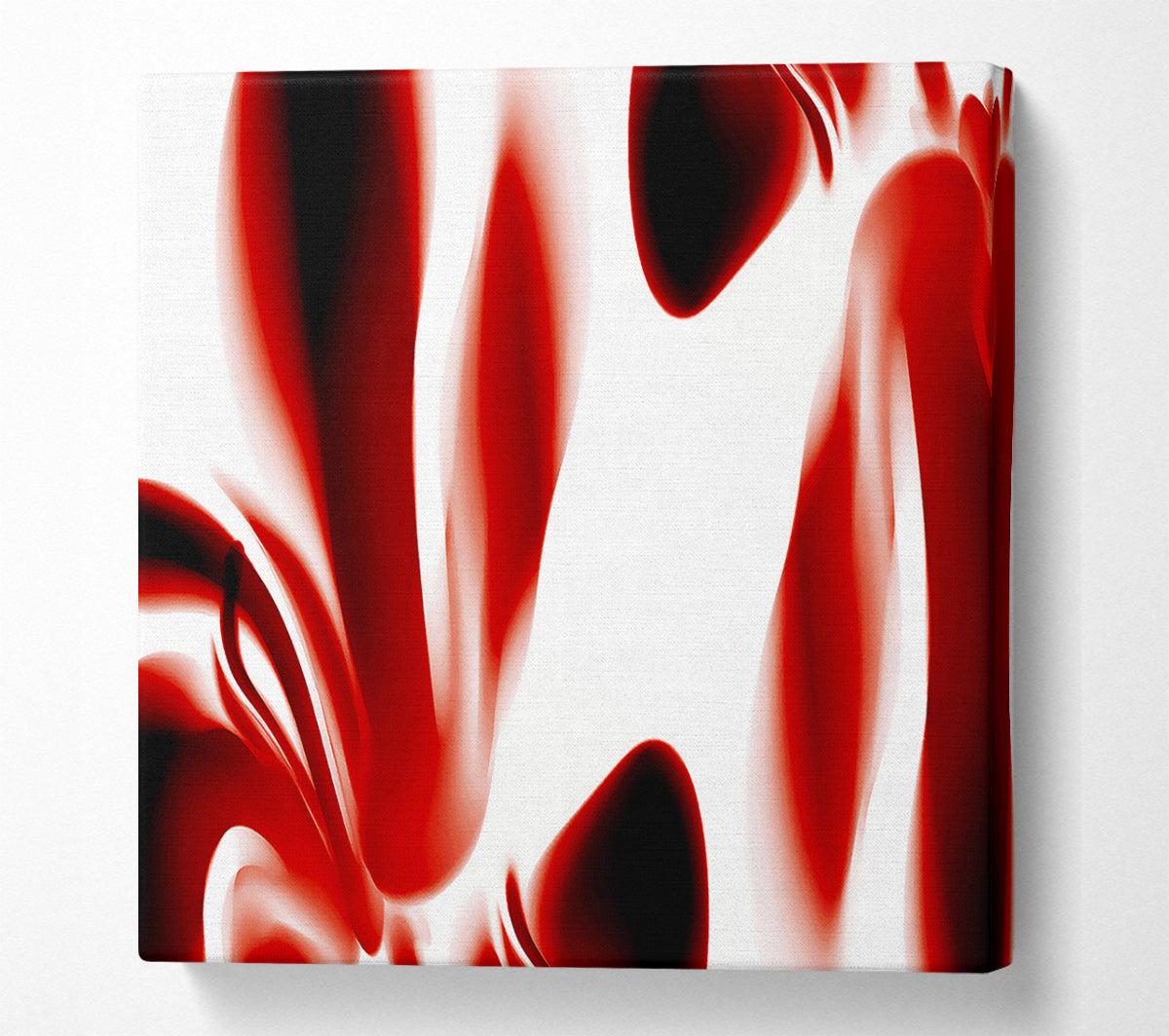 Red Raspberry Ripple Canvas Wall Art