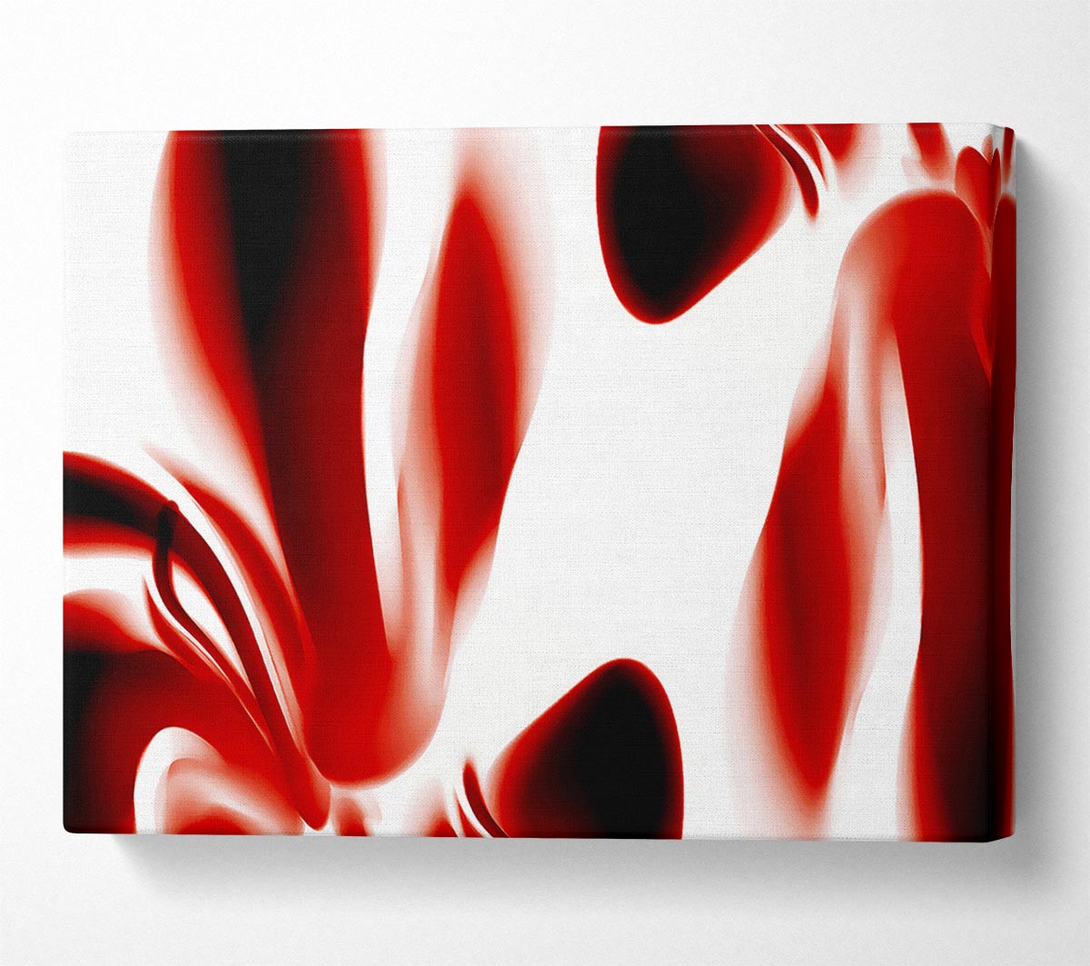 Red Raspberry Ripple Canvas Wall Art