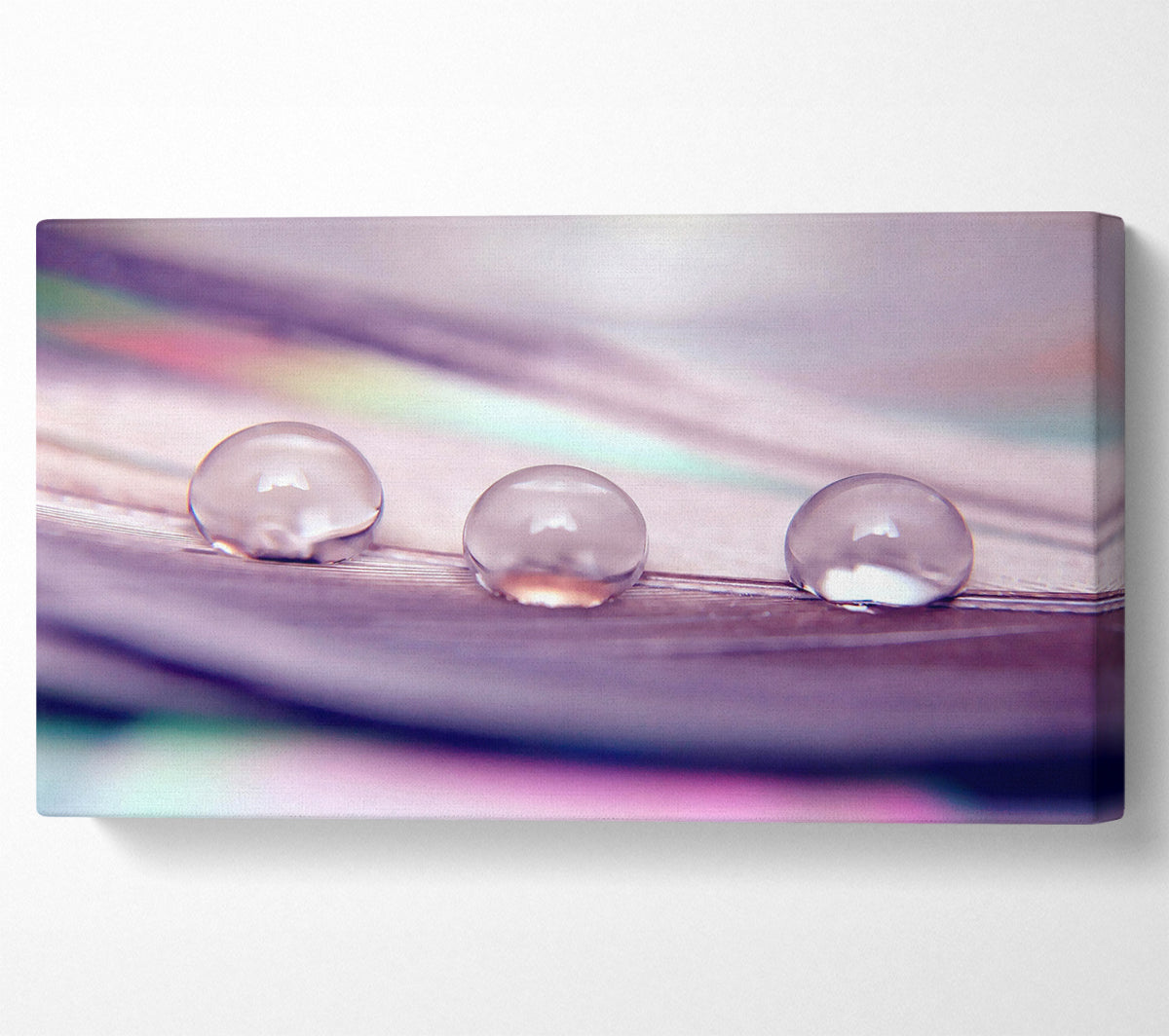 Three Water Drops Canvas Wall Art