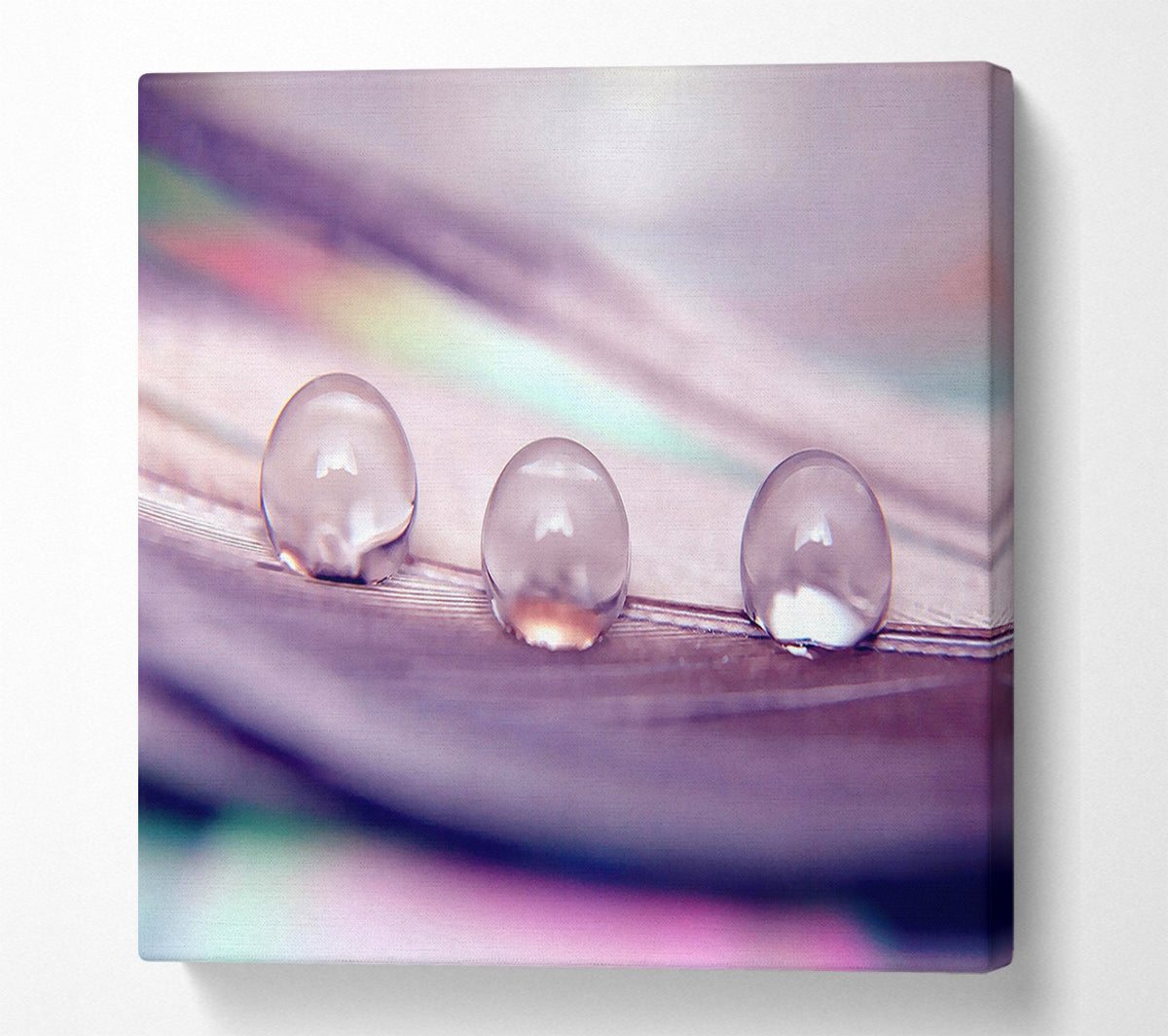 Three Water Drops Canvas Wall Art