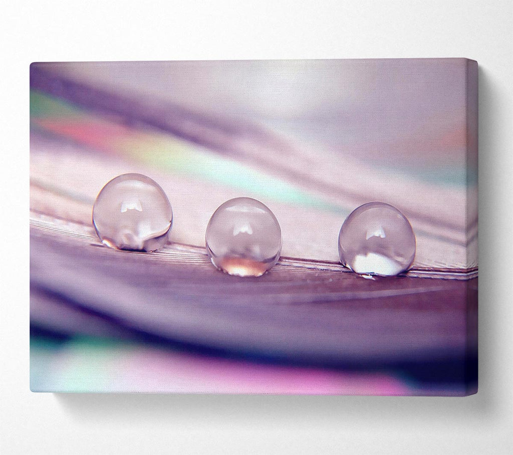Three Water Drops Canvas Wall Art