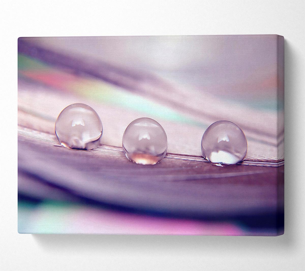 Three Water Drops Canvas Wall Art