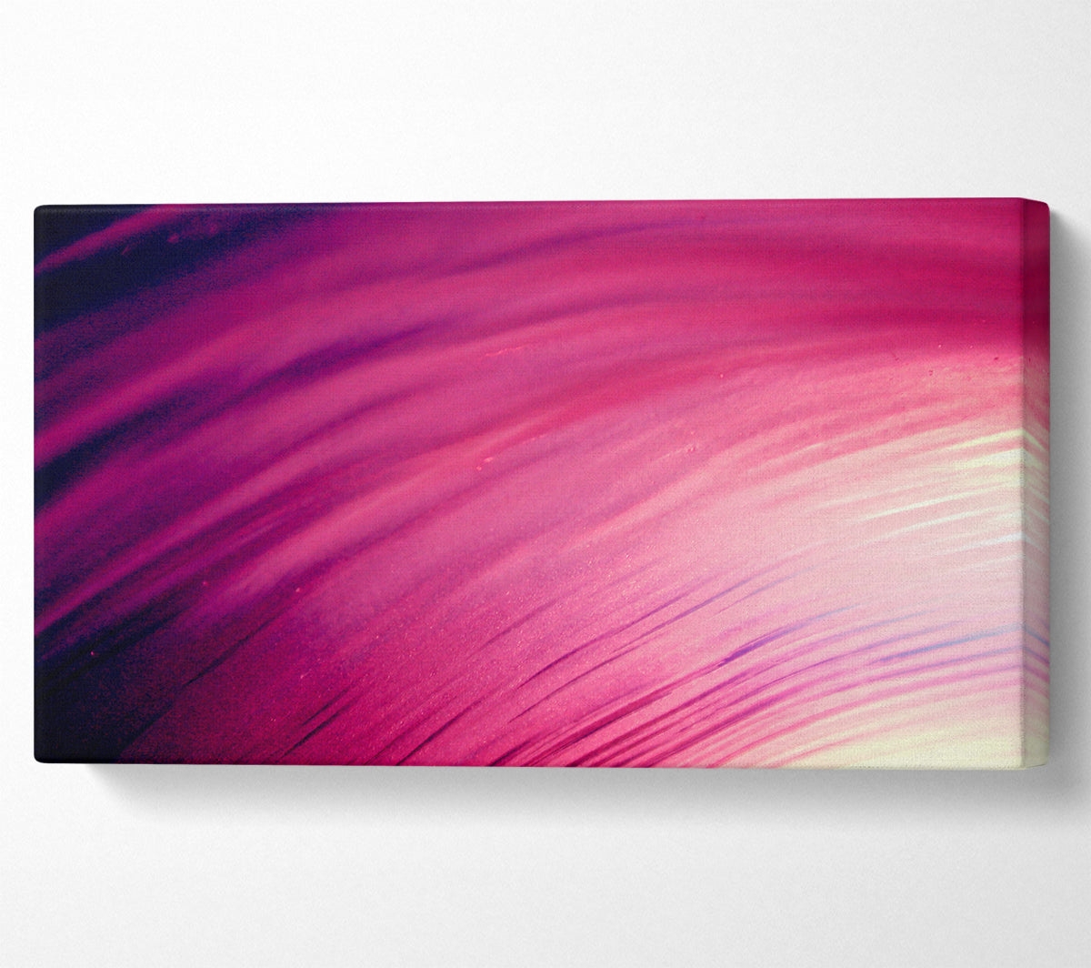 Whirlwind Of Pink Canvas Wall Art