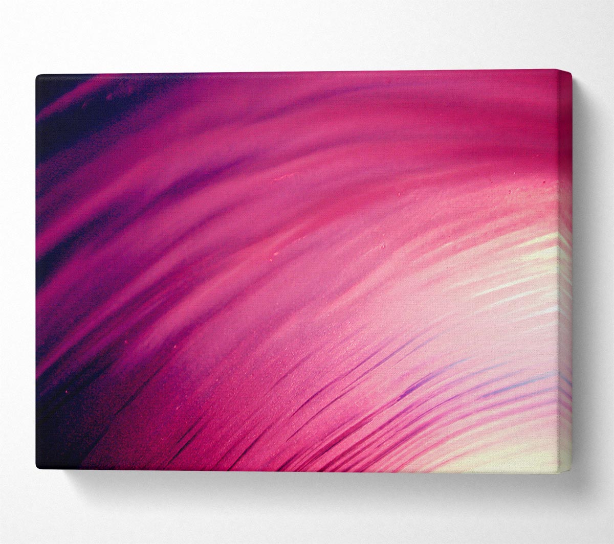 Whirlwind Of Pink Canvas Wall Art