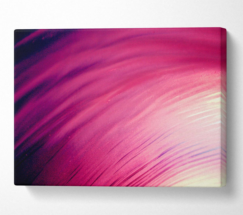 Whirlwind Of Pink Canvas Wall Art