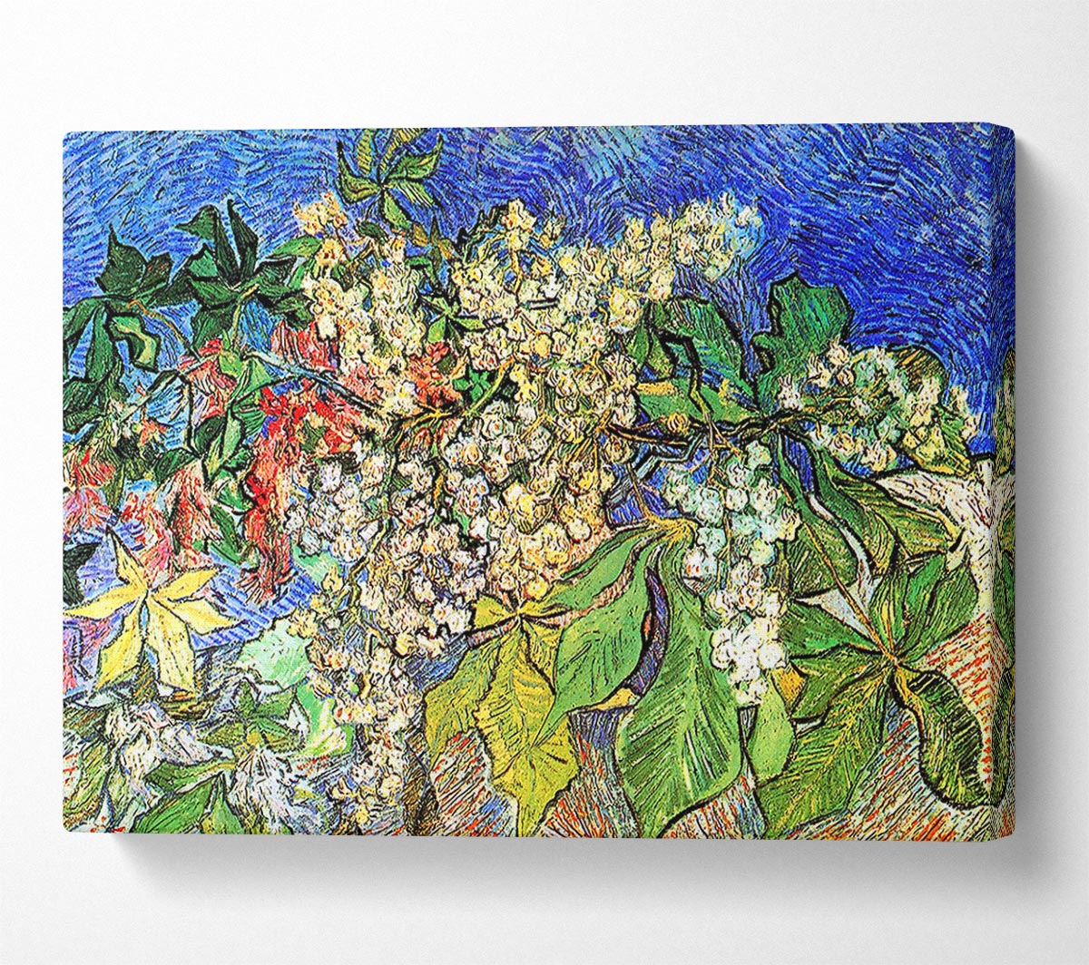 Van Gogh Blossoming Chestnut Branches Canvas Wall Art