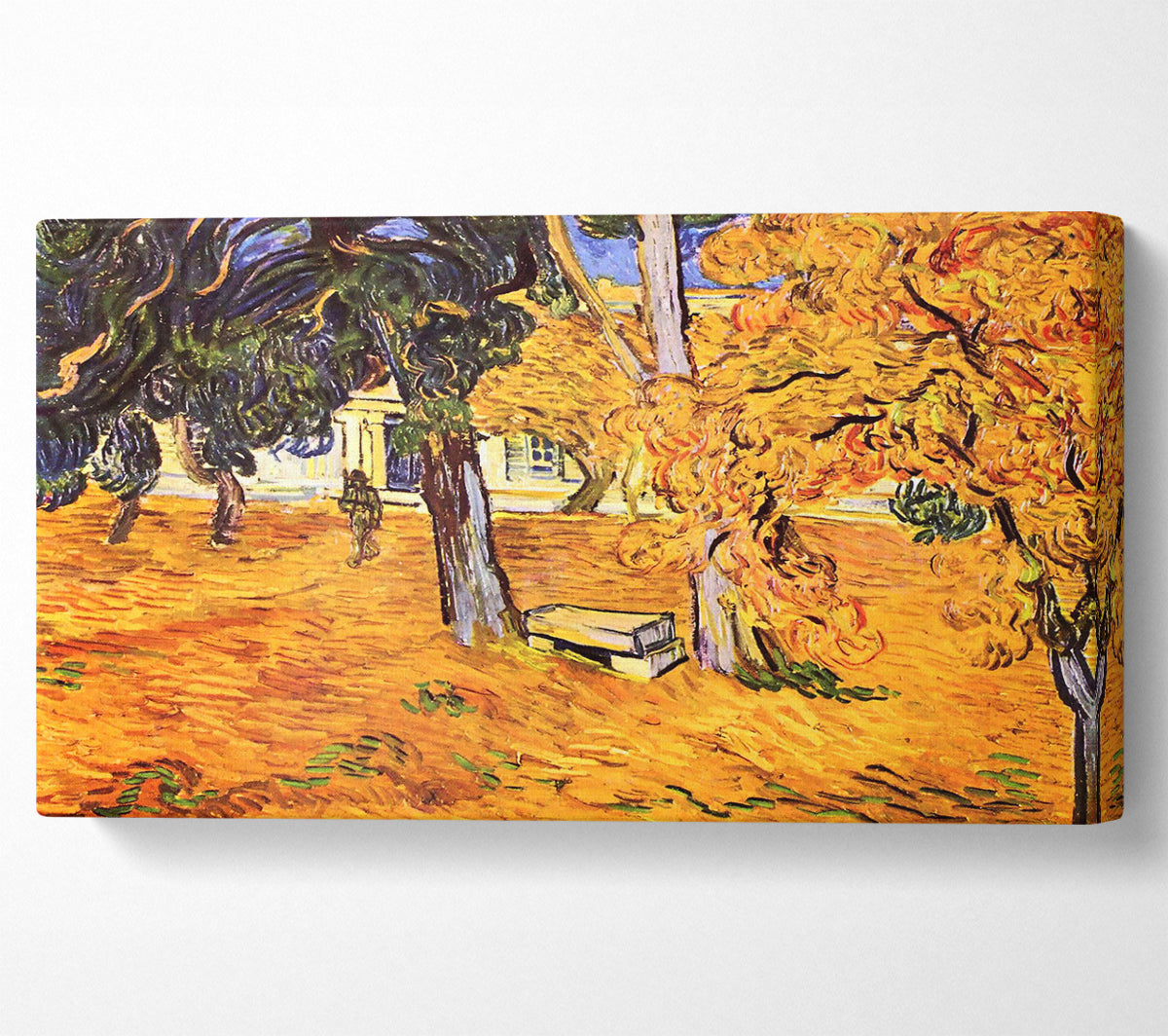 Van Gogh The Park Of St-Paul Hospital In Saint-Remy Canvas Wall Art