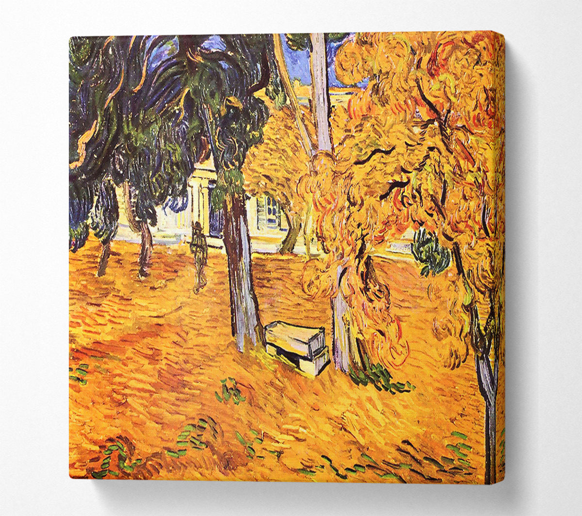 Van Gogh The Park Of St-Paul Hospital In Saint-Remy Canvas Wall Art