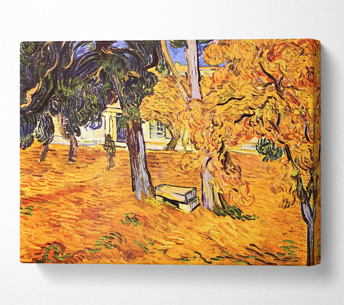Van Gogh The Park Of St-Paul Hospital In Saint-Remy Canvas Wall Art
