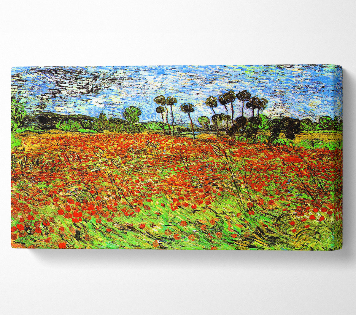 Van Gogh Poppy Fields Canvas Wall Art
