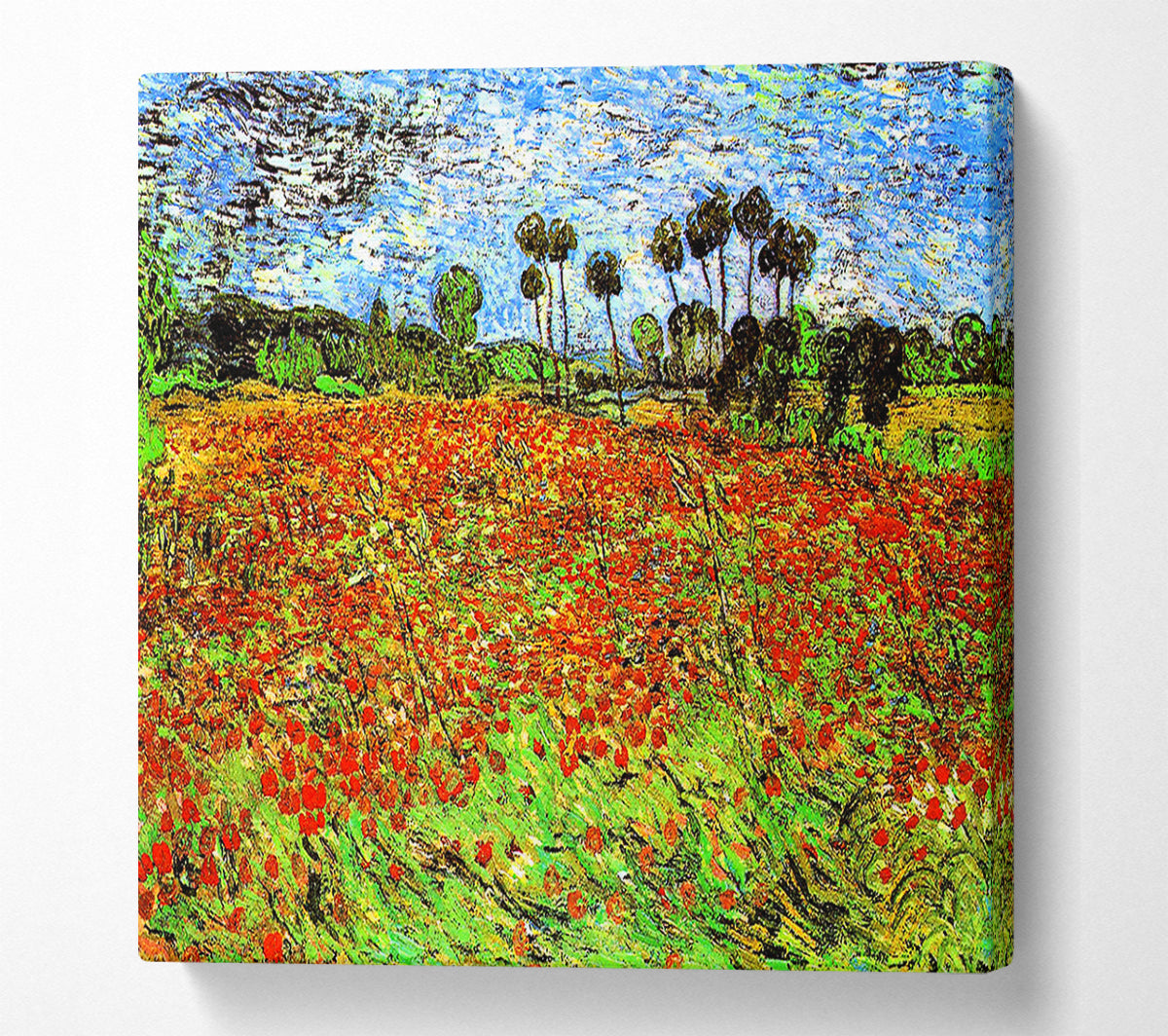 Van Gogh Poppy Fields Canvas Wall Art