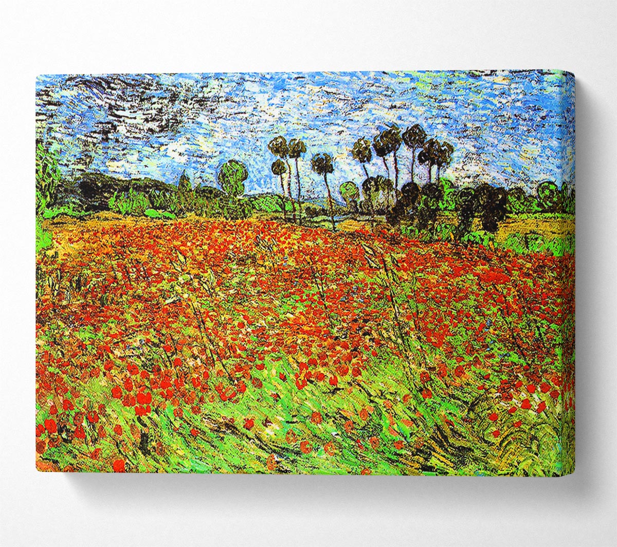 Van Gogh Poppy Fields Canvas Wall Art