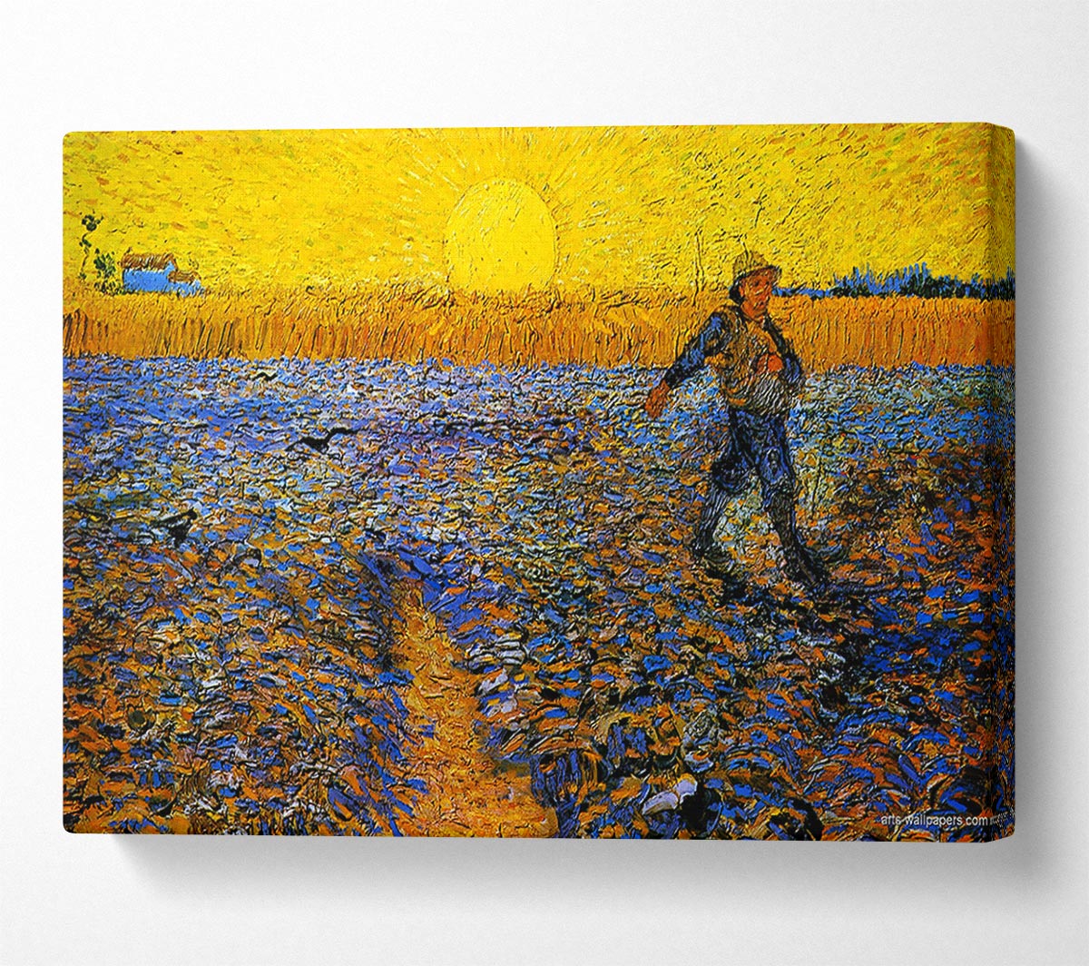 Van Gogh Sower Canvas Wall Art