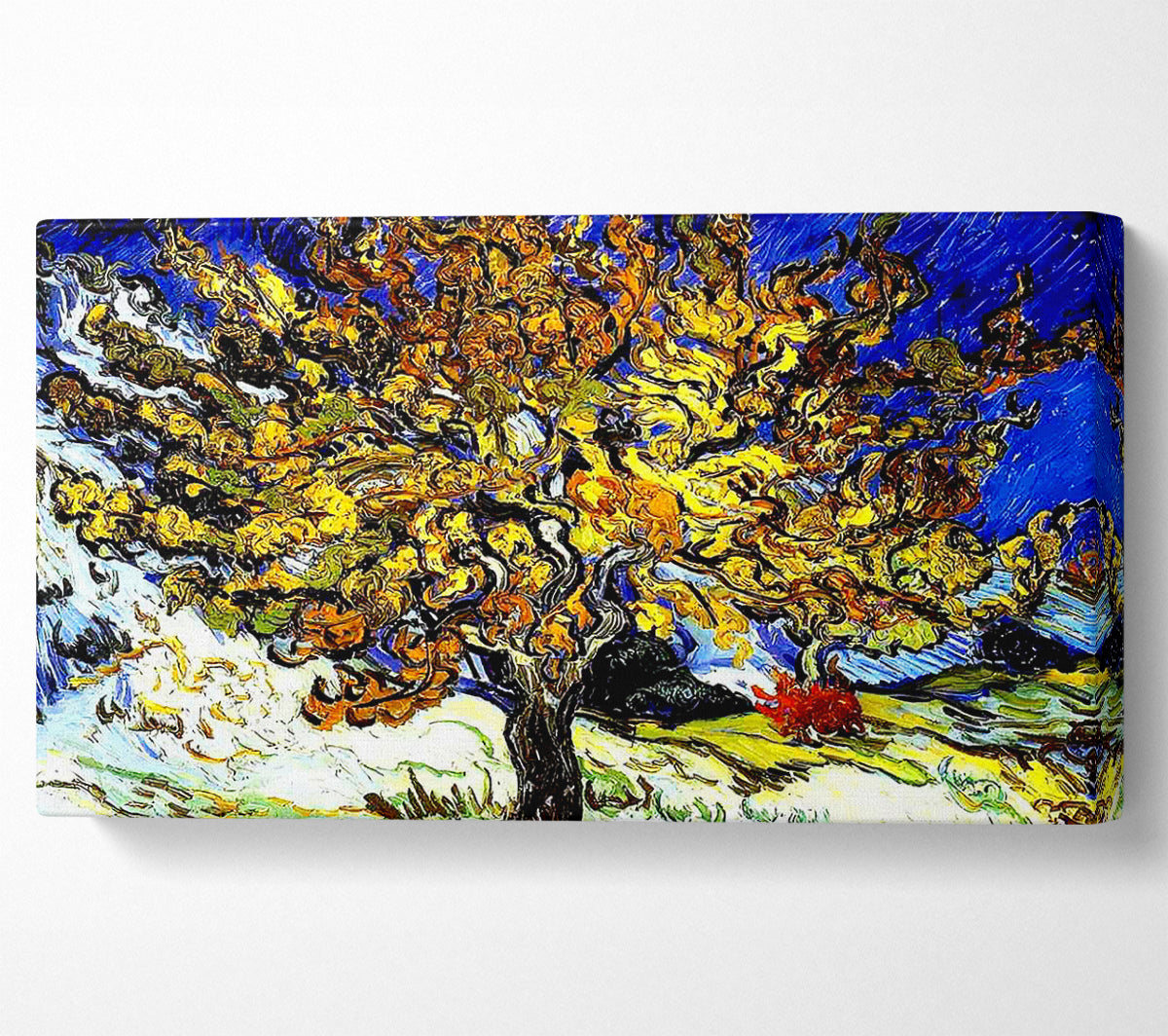 Vincent Van Gogh The Mulberry Tree Canvas Wall Art