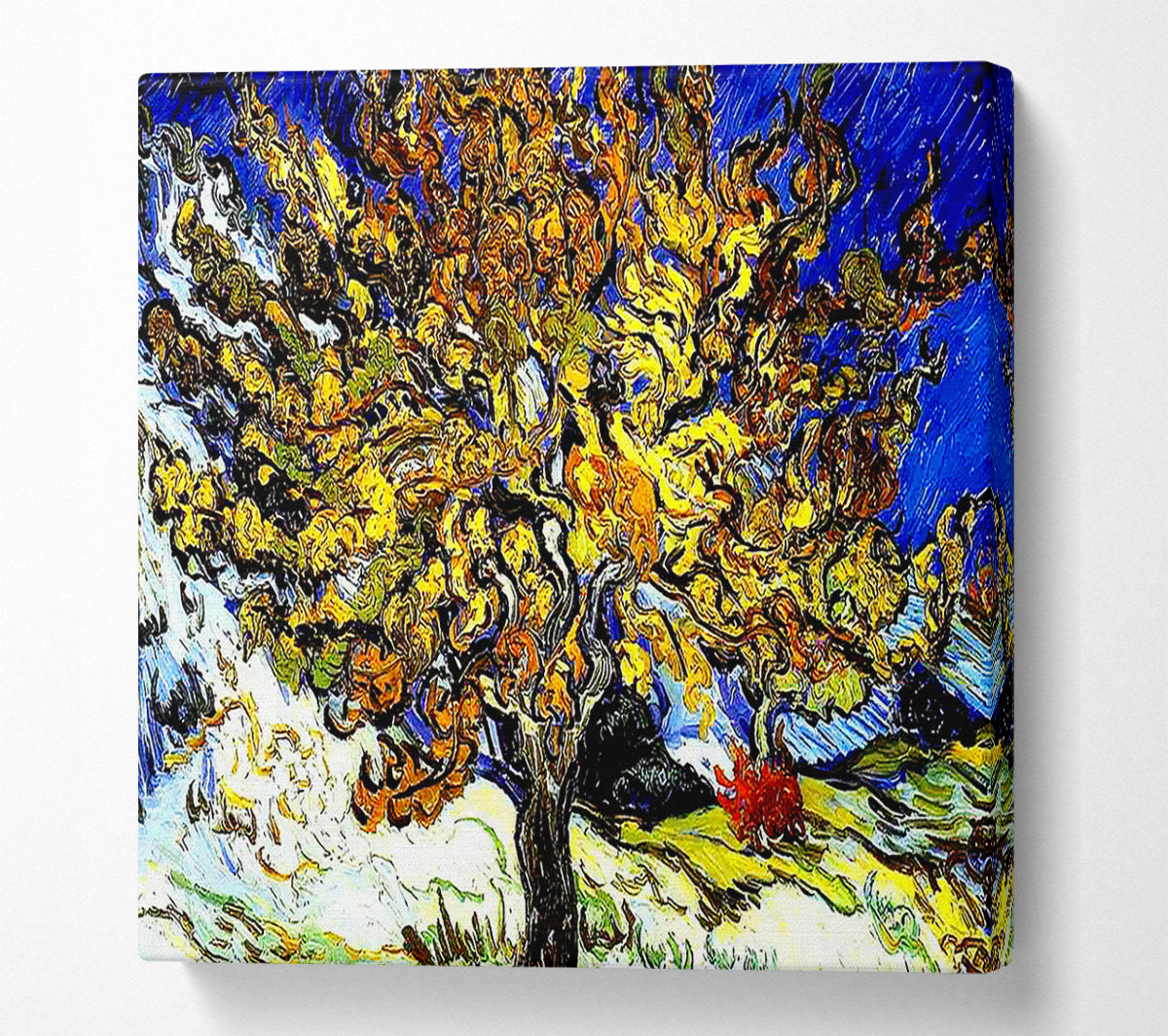 Vincent Van Gogh The Mulberry Tree Canvas Wall Art