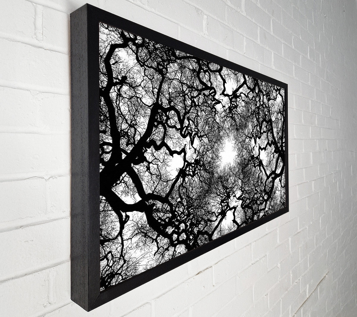 The Suns Shelter Canvas Wall Art