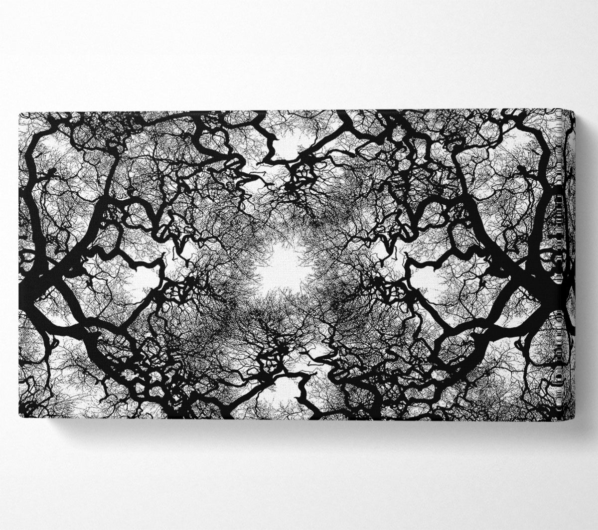 The Suns Shelter Canvas Wall Art