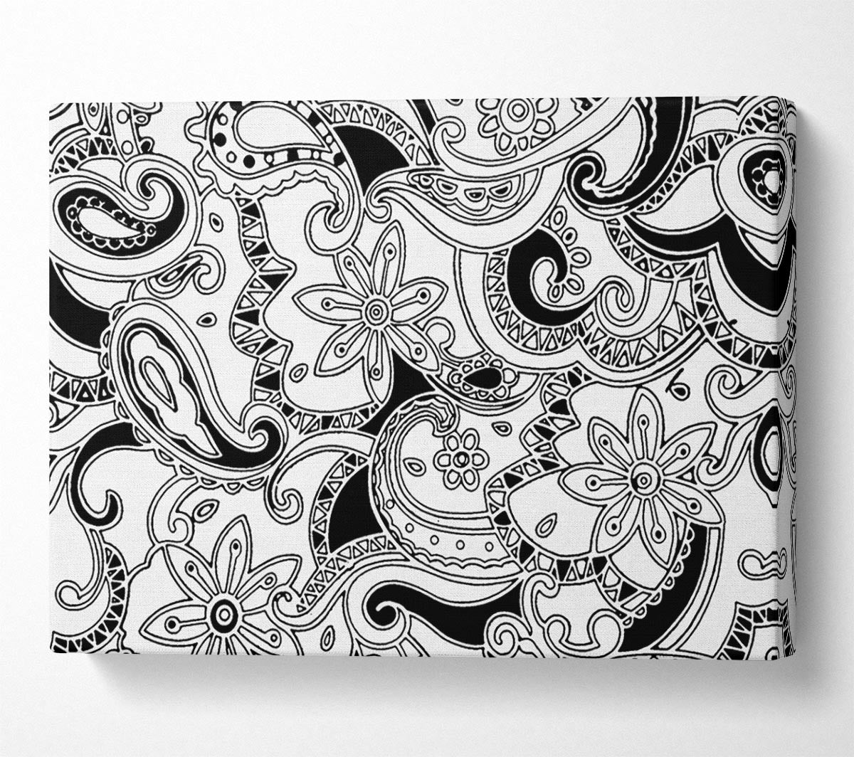 Pasley Garden Black On White Canvas Print