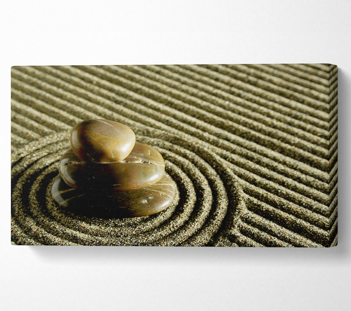 Chinese Garden Canvas Print