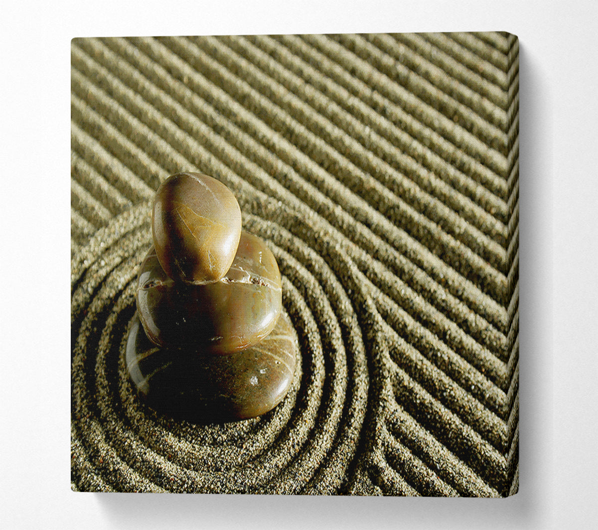 Chinese Garden Canvas Print