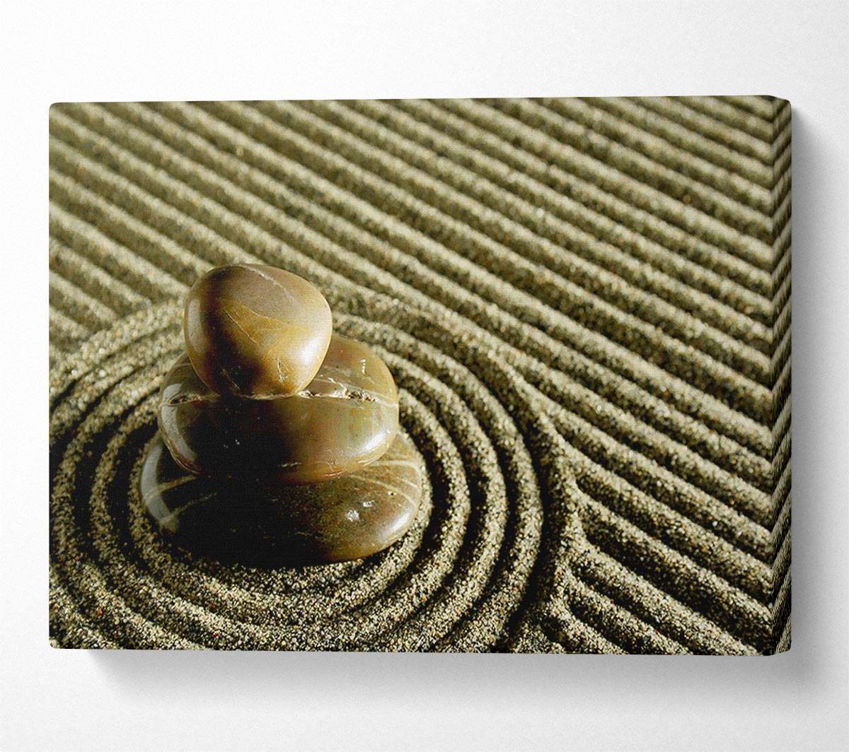 Chinese Garden Canvas Print