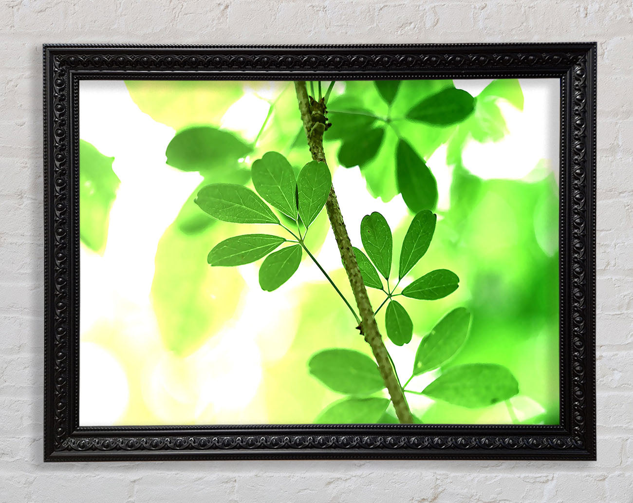 Spring Has Sprung Framed Print