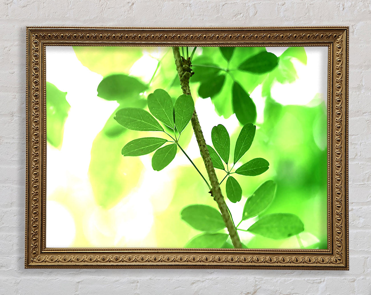 Spring Has Sprung Framed Print