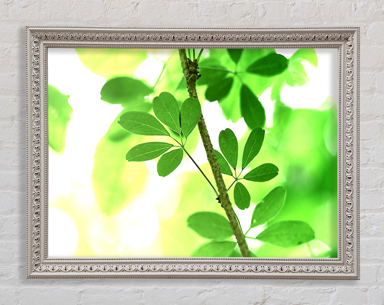 Spring Has Sprung Framed Print