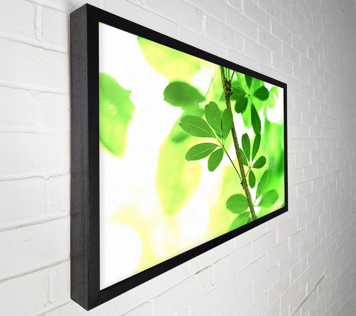Spring Has Sprung Canvas Wall Art