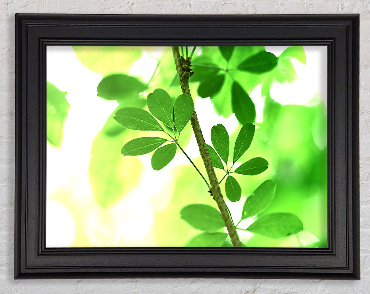 Spring Has Sprung Framed Print