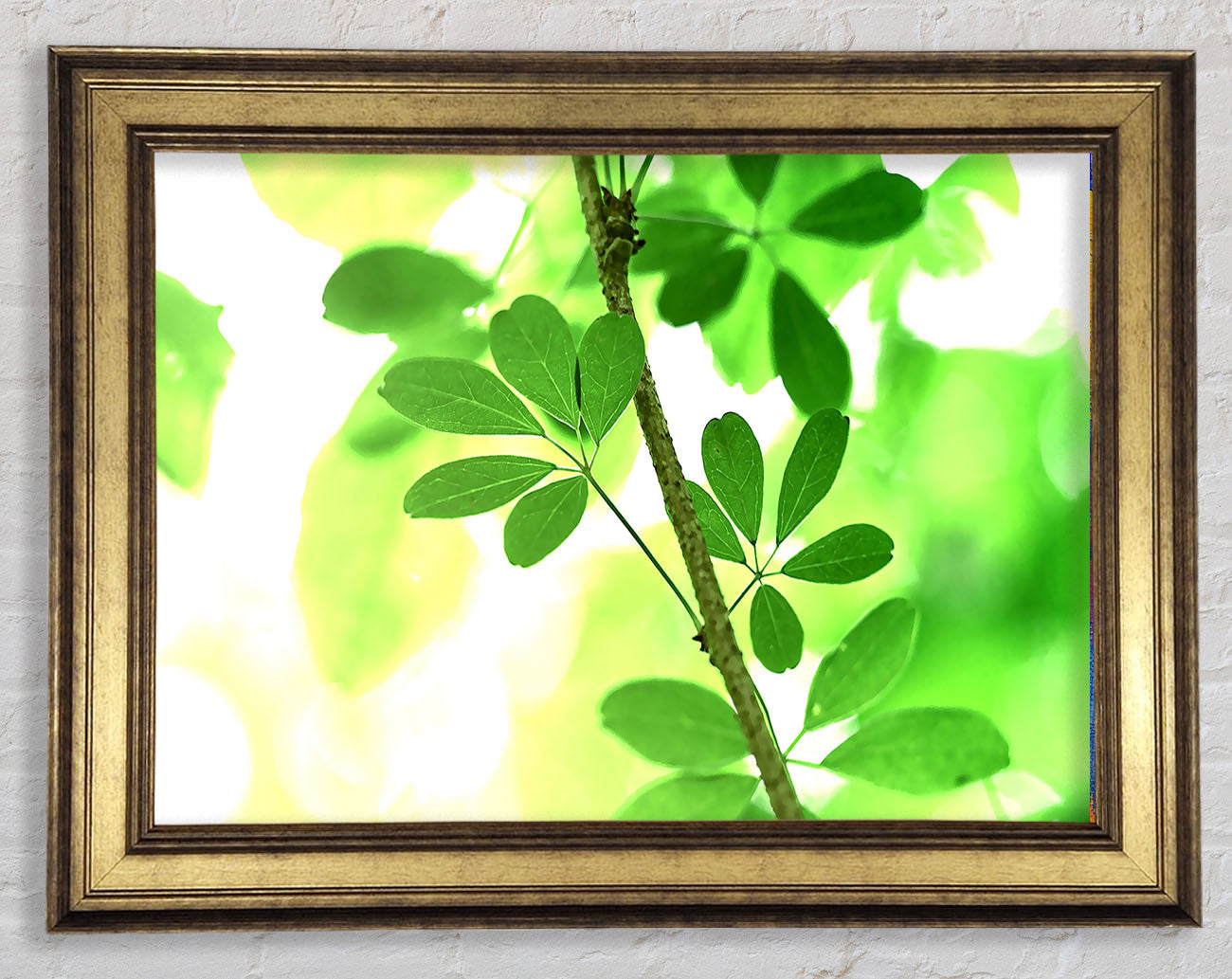 Spring Has Sprung Framed Print