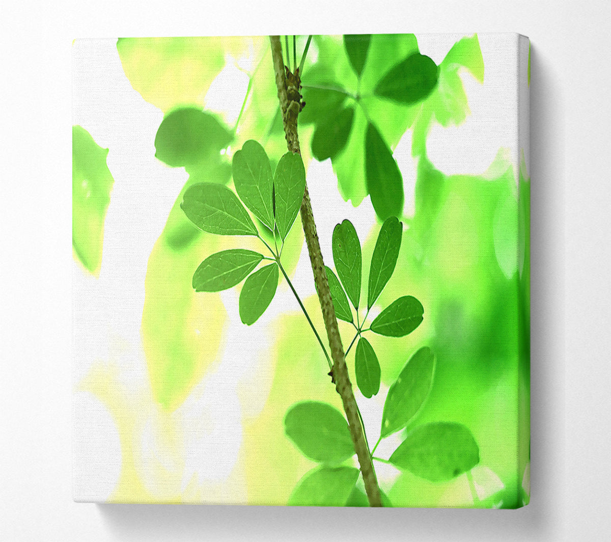 Spring Has Sprung Canvas Wall Art