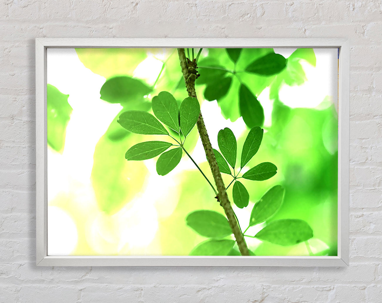 Spring Has Sprung Framed Print