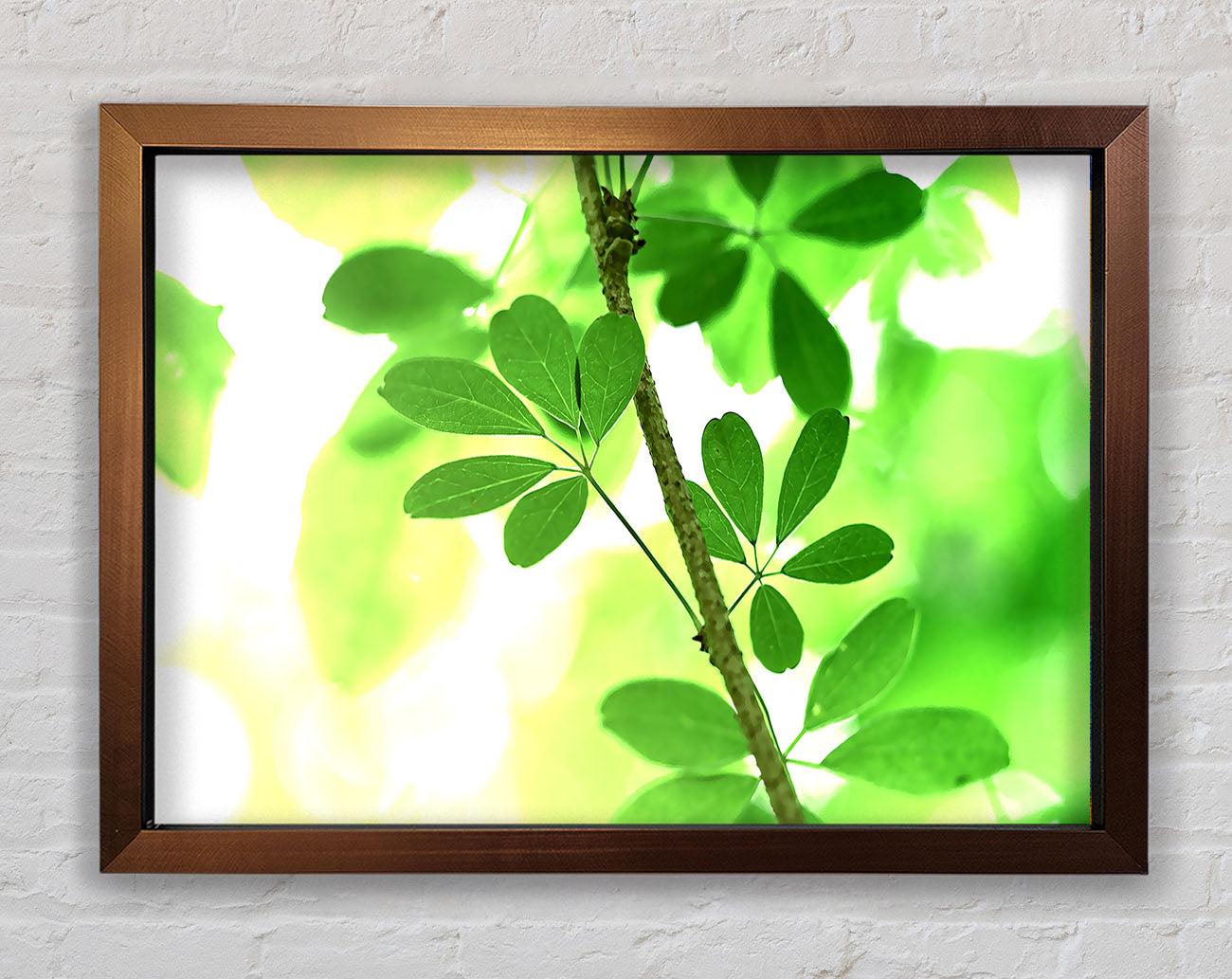 Spring Has Sprung Framed Print