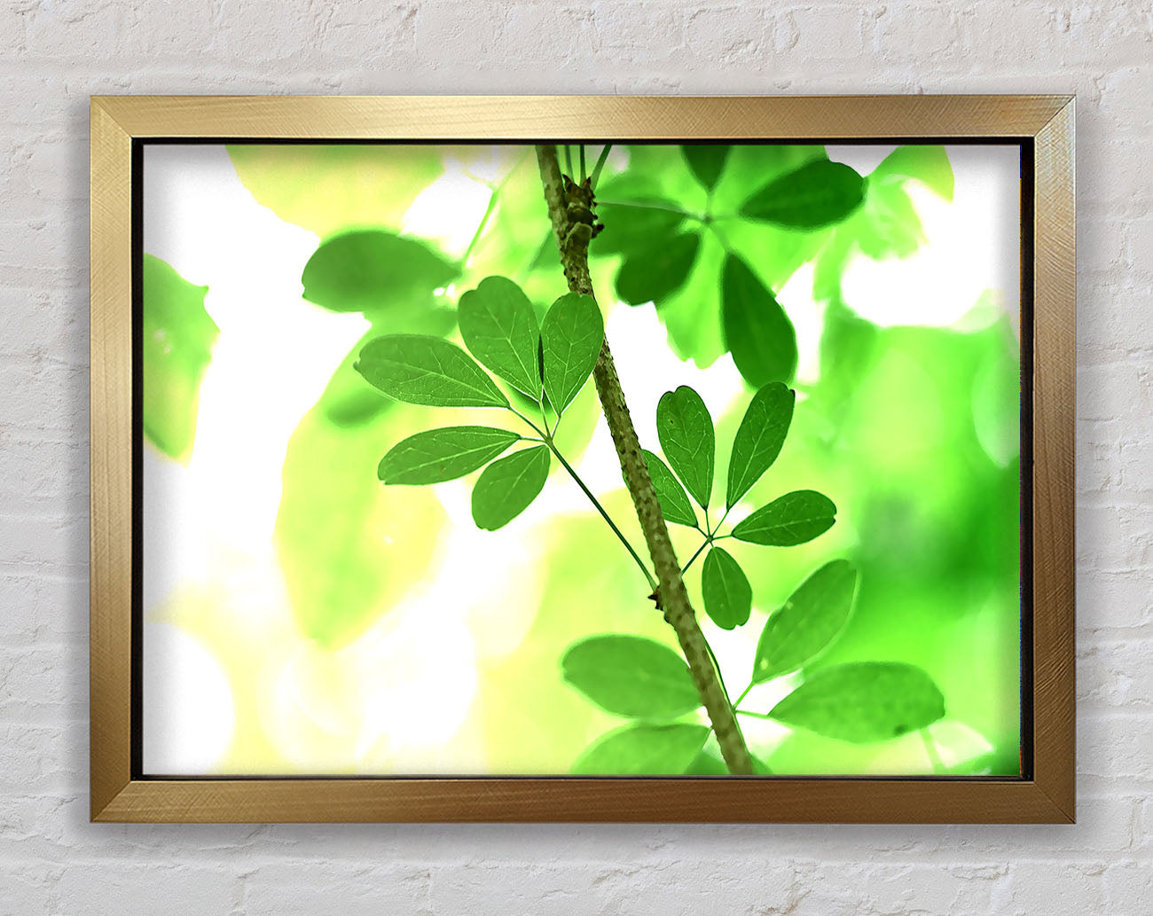 Spring Has Sprung Framed Print