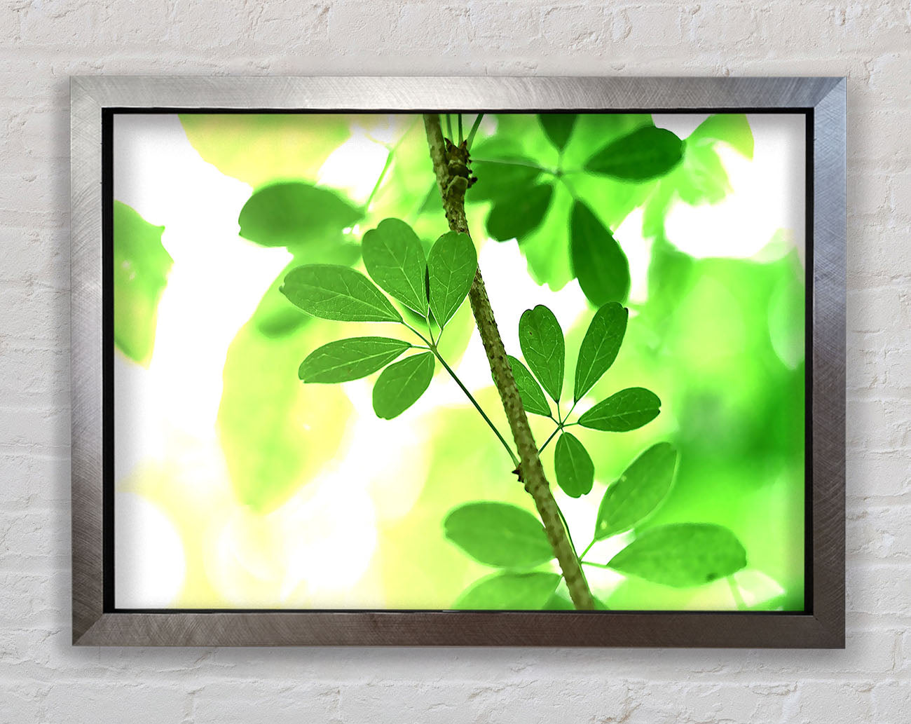 Spring Has Sprung Framed Print