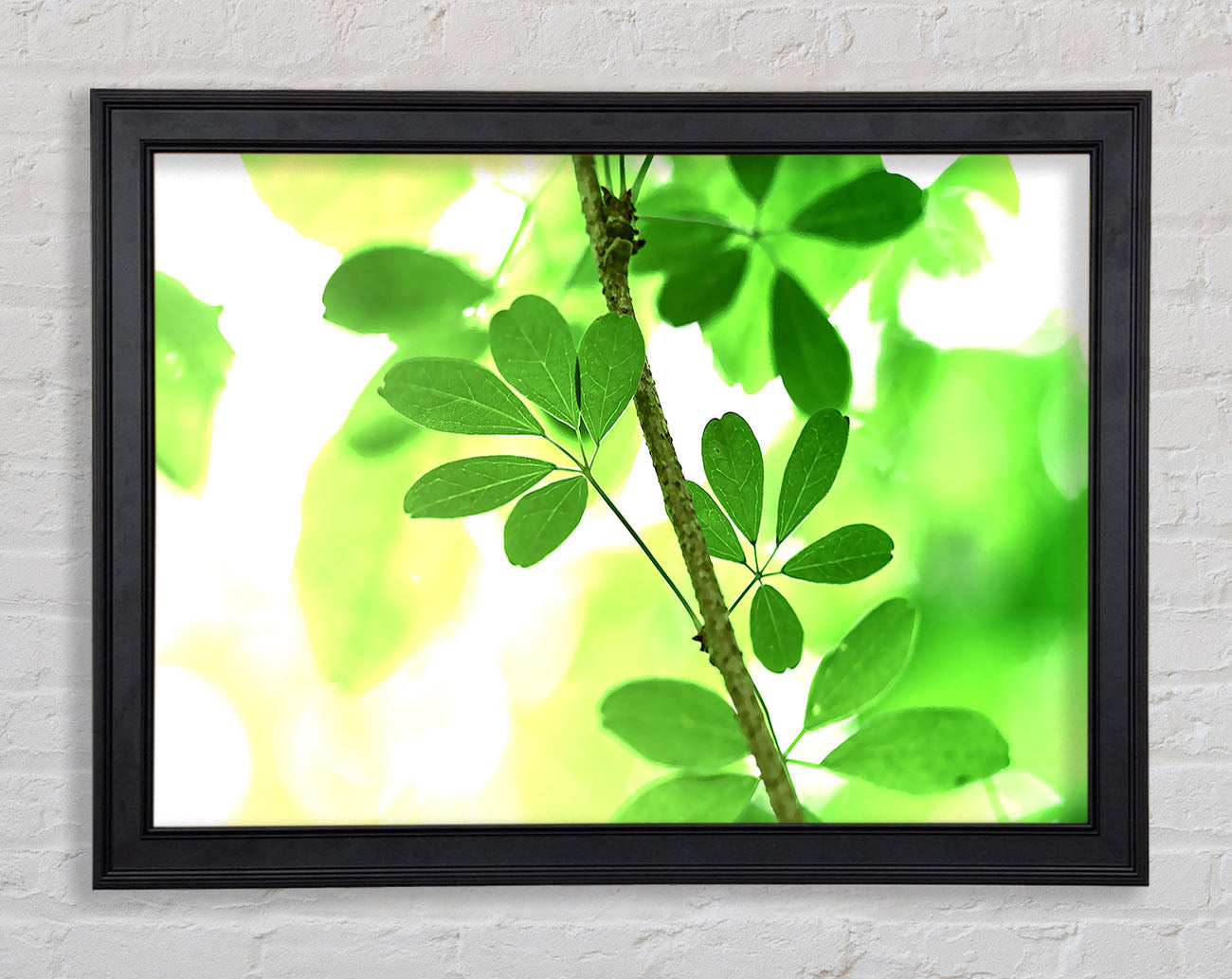 Spring Has Sprung Framed Print