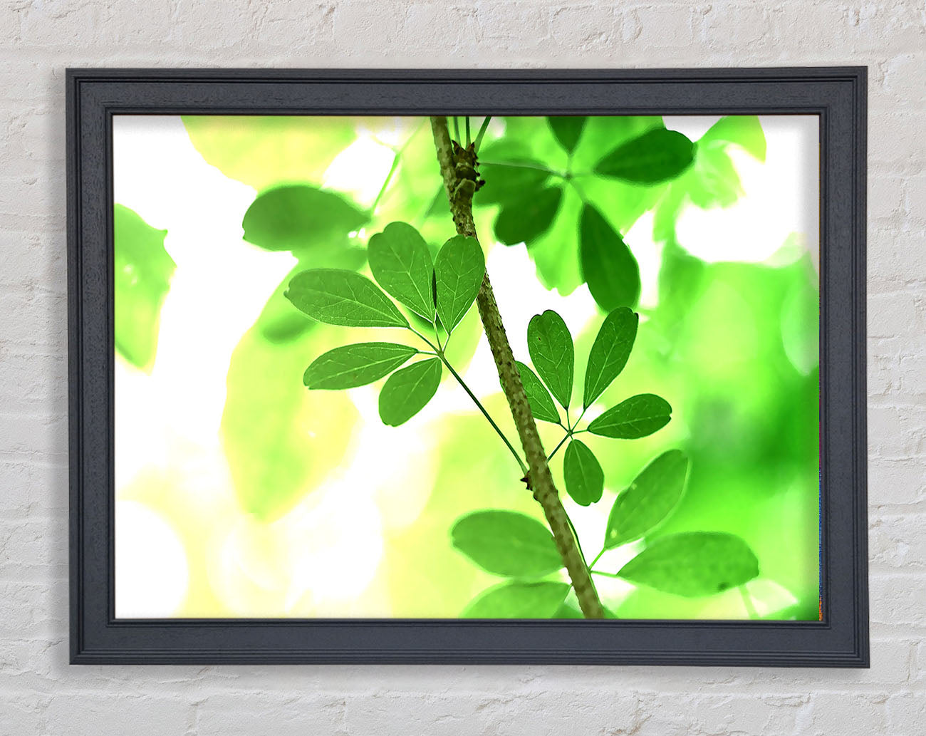 Spring Has Sprung Framed Print